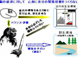 脳と身体反応のバランス.gif